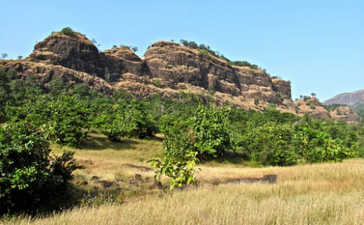 Mrugagad