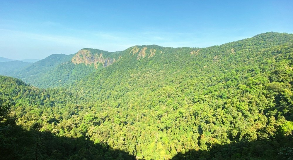 Narasimha Parvatha